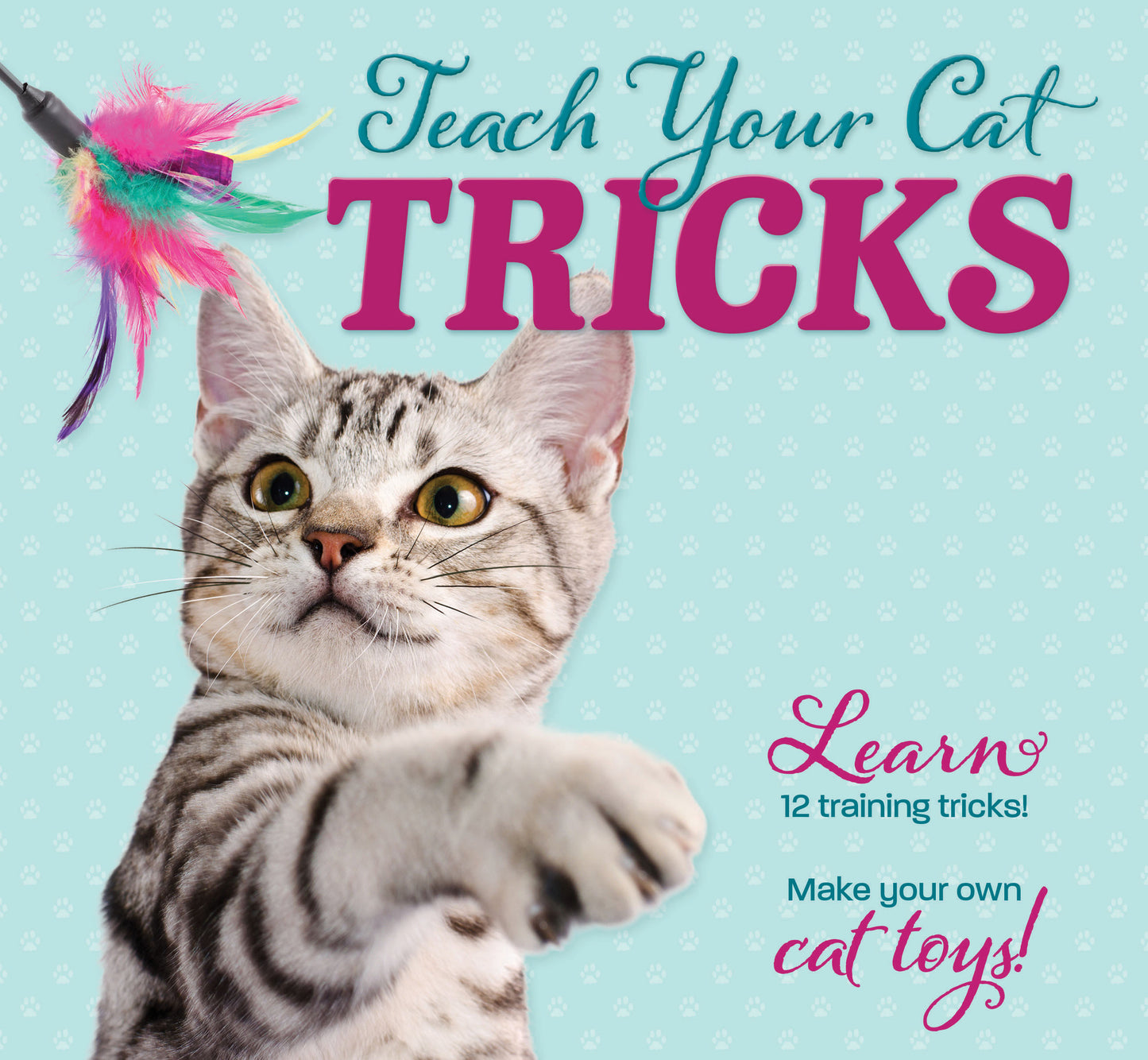 Teach Your Cat Tricks Book and Toy Kit