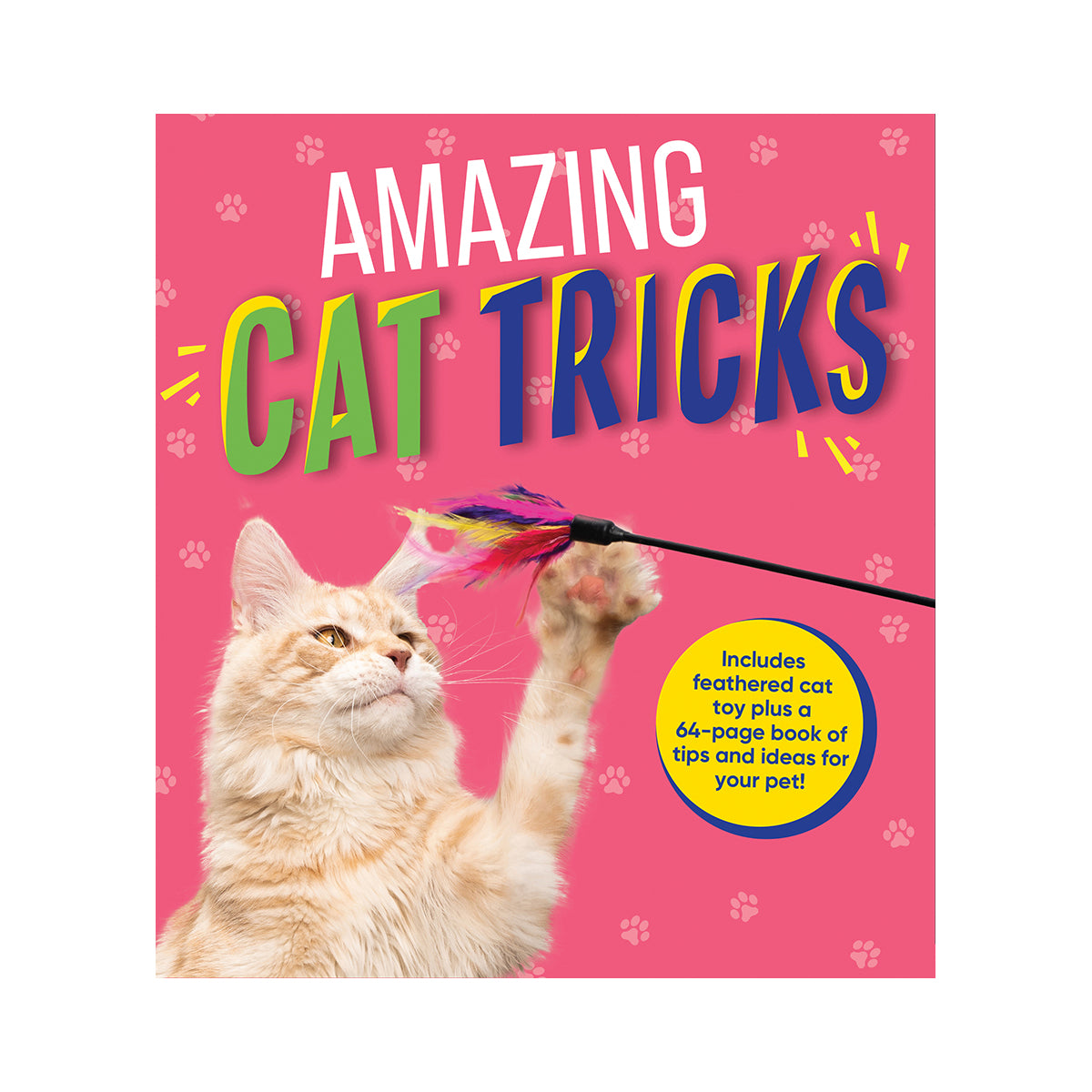 Amazing Cat Tricks