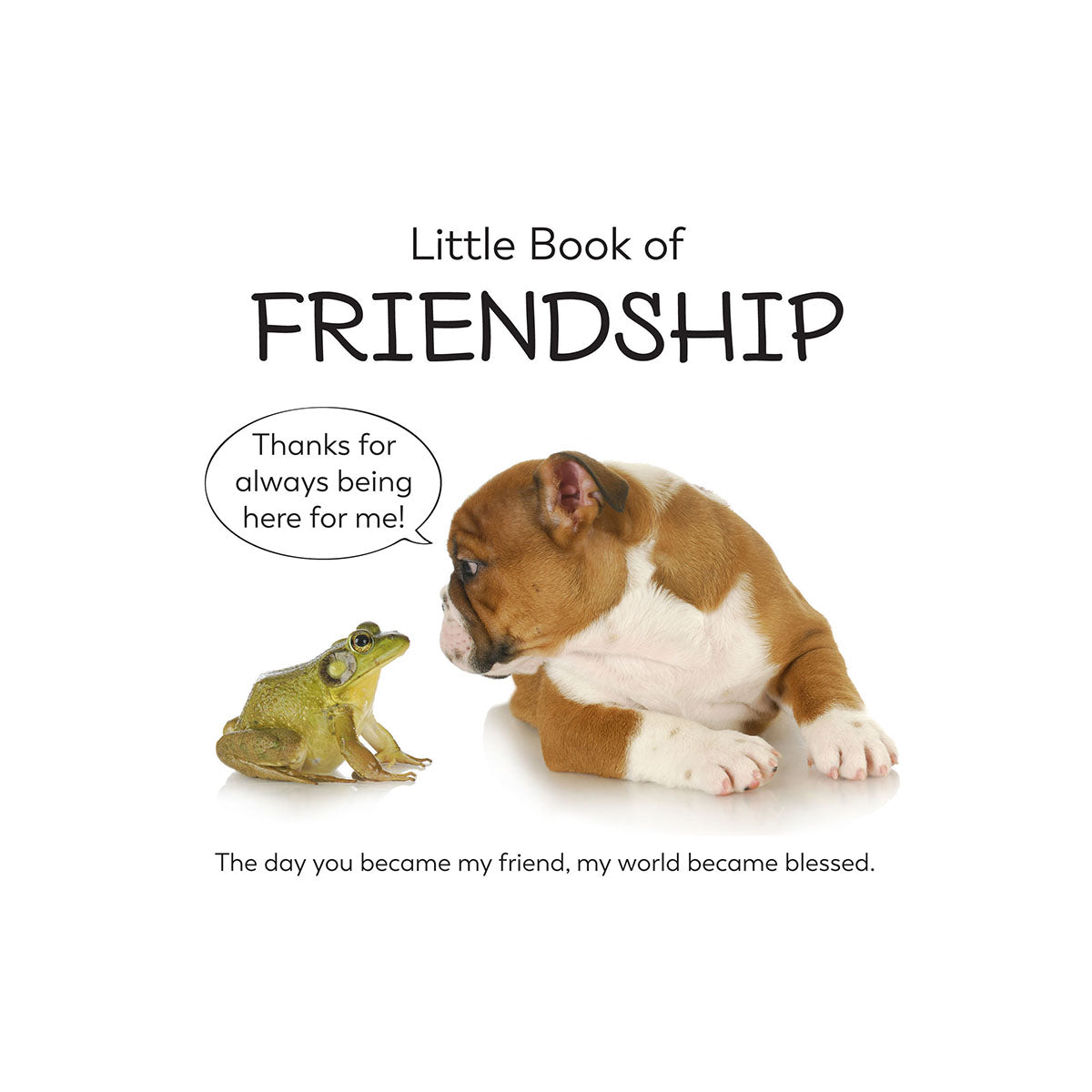 Little Book of Friendship