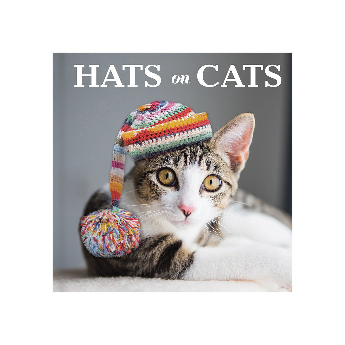 Hats on Cats