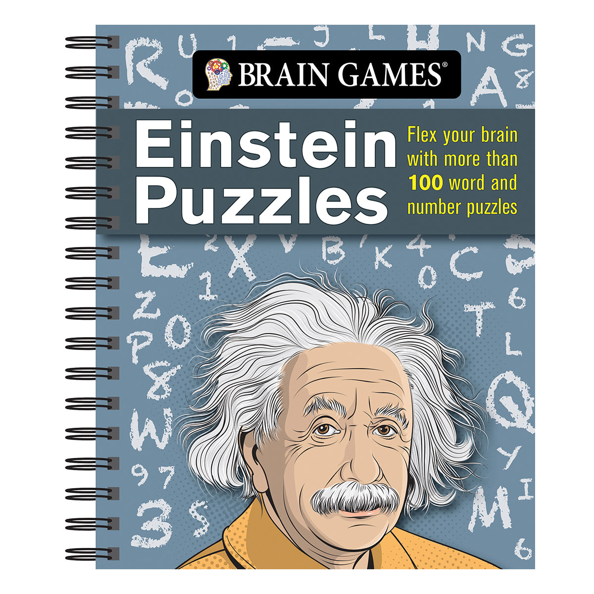 Brain Games Einstein Puzzles