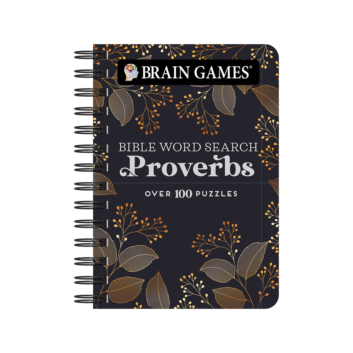 Brain Games - To Go - Bible Word Search: Proverbs