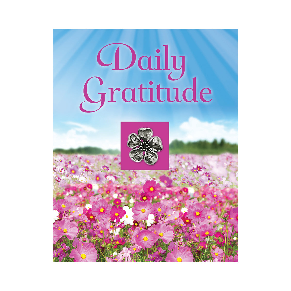 Daily Gratitude