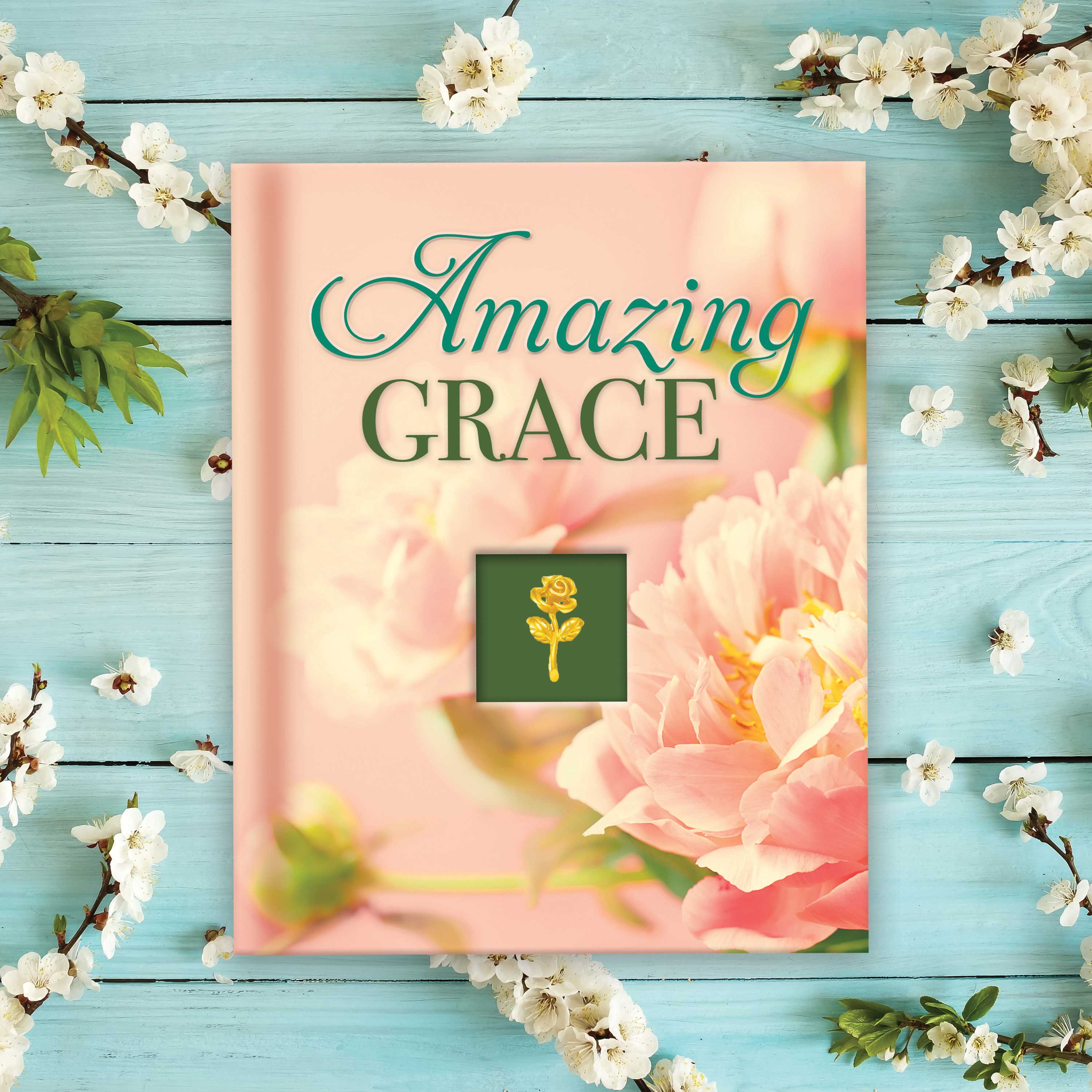 Bible & Inspirational – pilbooks