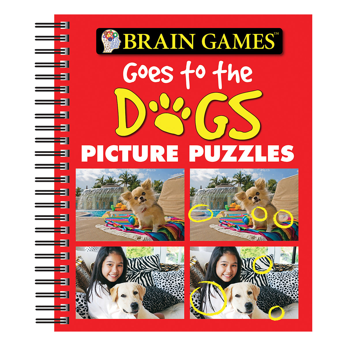 Brain Games  Picture Puzzles Goes to the Dogs
