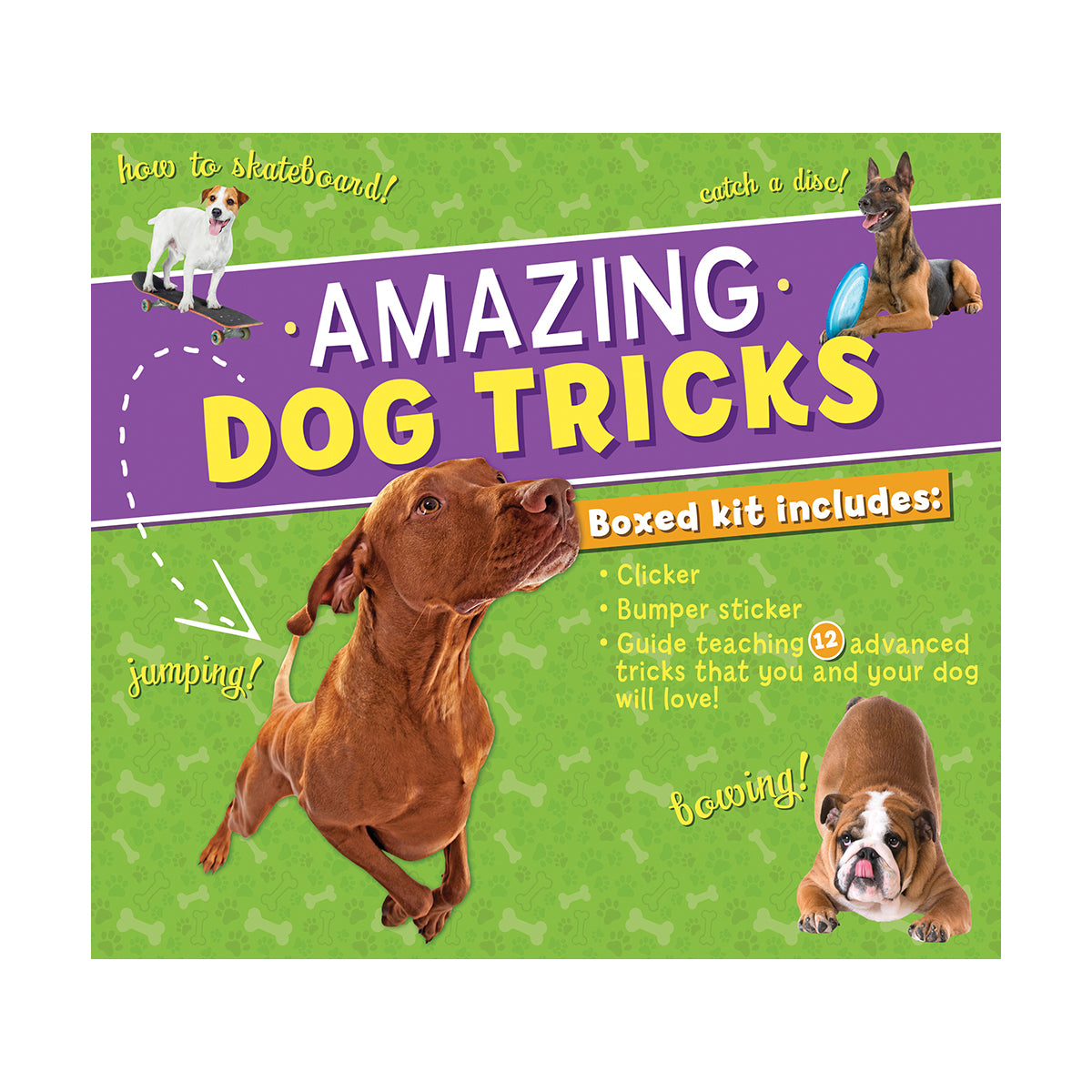 Amazing Dog Tricks Boxed Kit