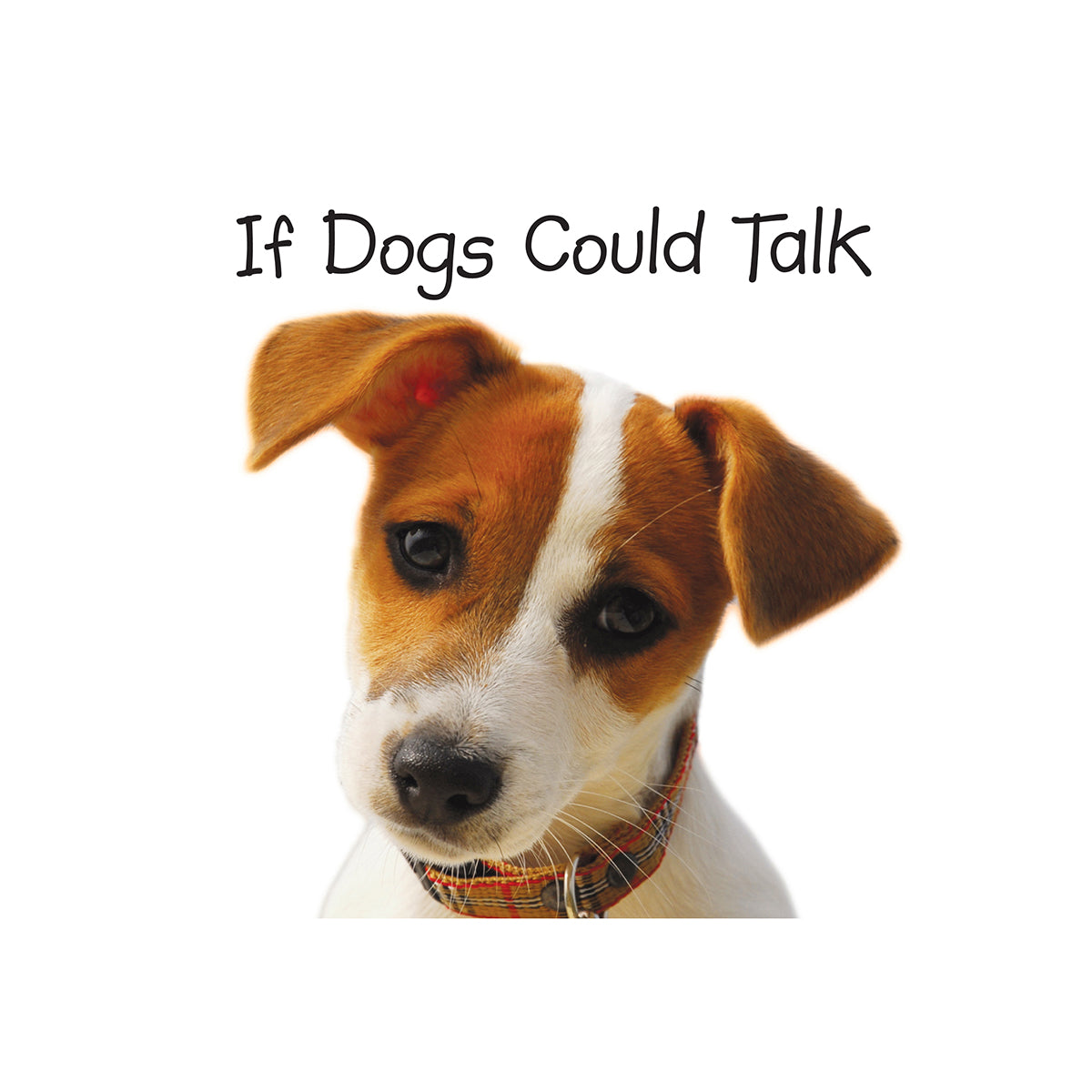 If Dogs Could Talk