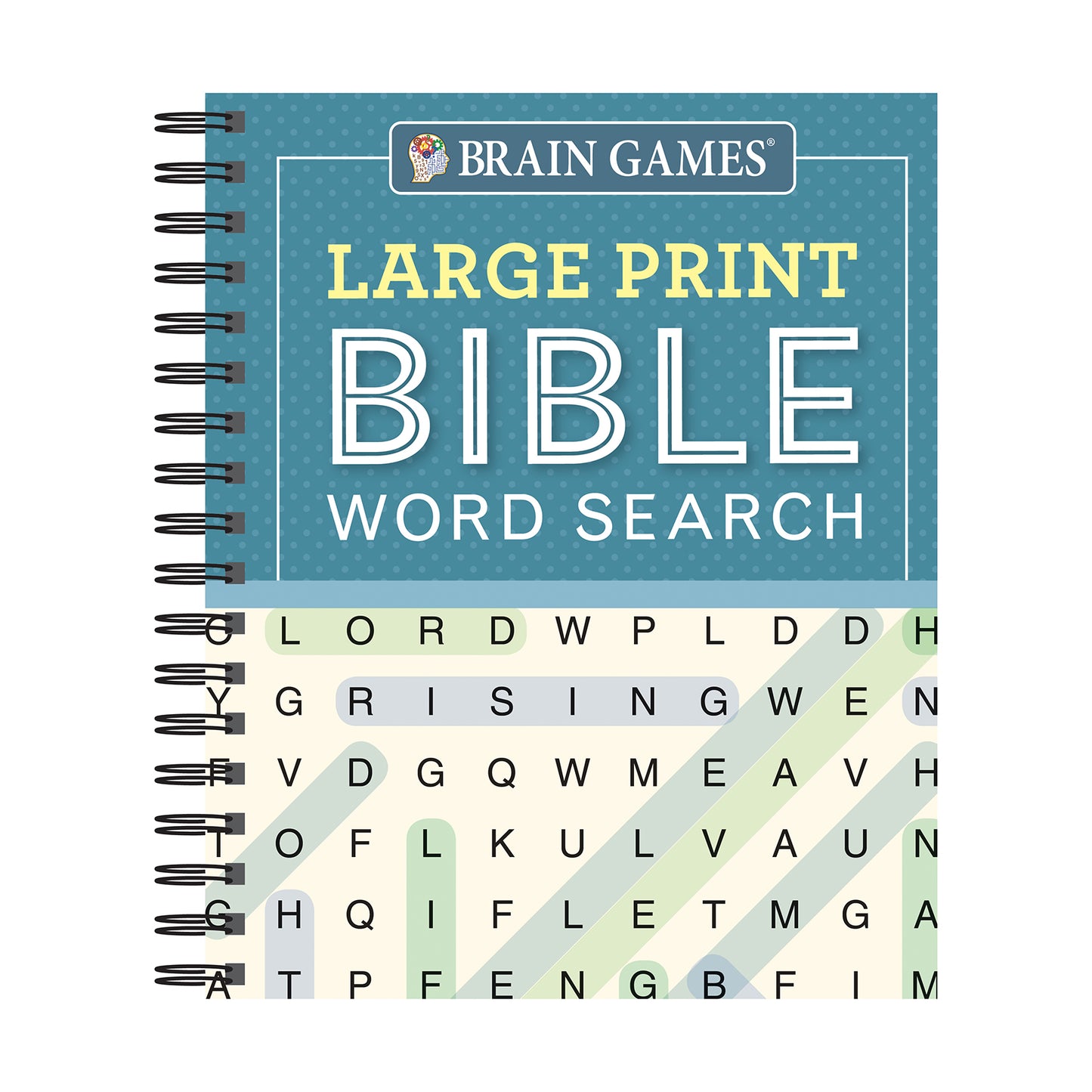 Brain Games  Large Print Bible Word Search Blue