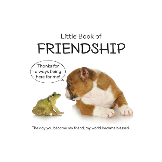 Little Book of Friendship