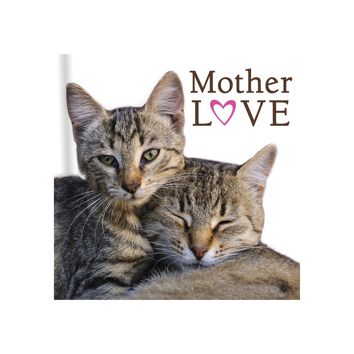 Mother Love Cats