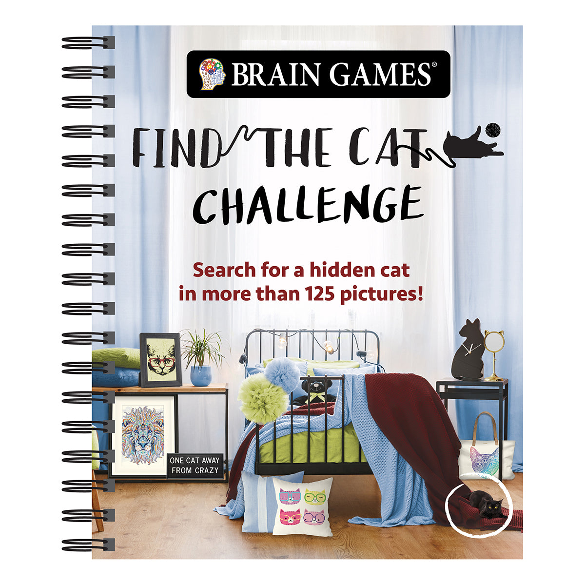 Brain Games  Find the Cat Challenge