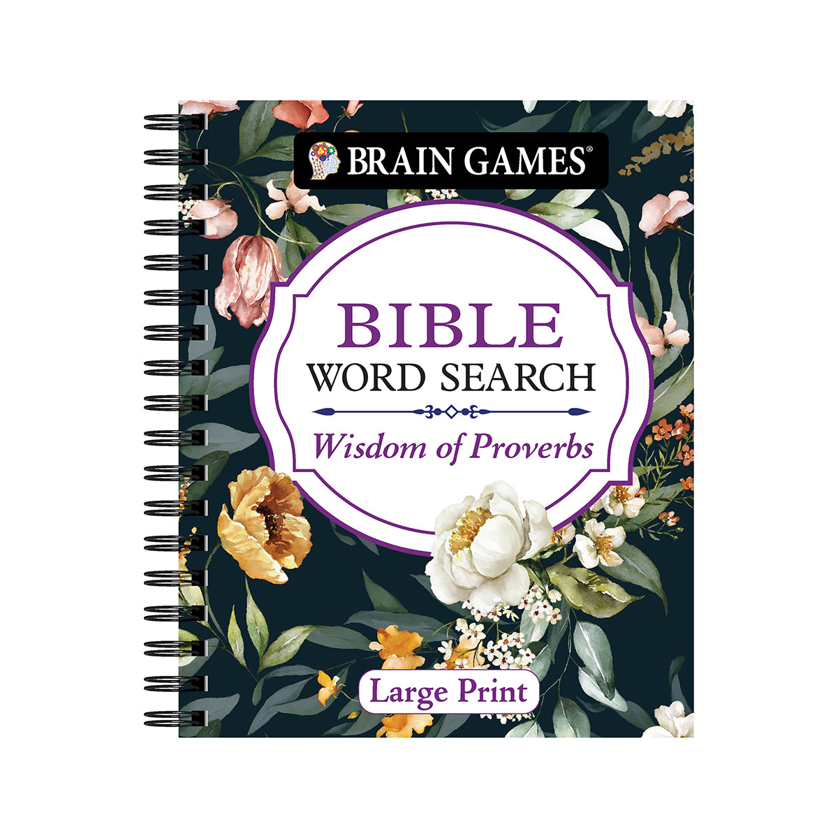 Brain Games Bible Word Search: Wisdom of Proverbs Large Print