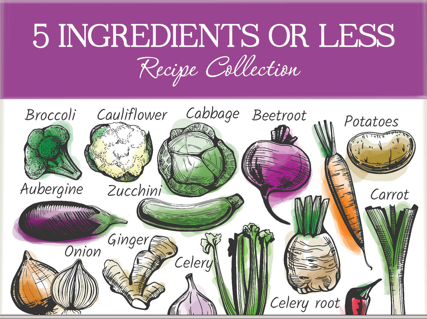 5 Ingredients or Less Recipe Card Collection Tin - 78 Recipe Cards + 22 Blank Recipe Cards to Write Your Own Recipes + 5 Tabbed Section Dividers