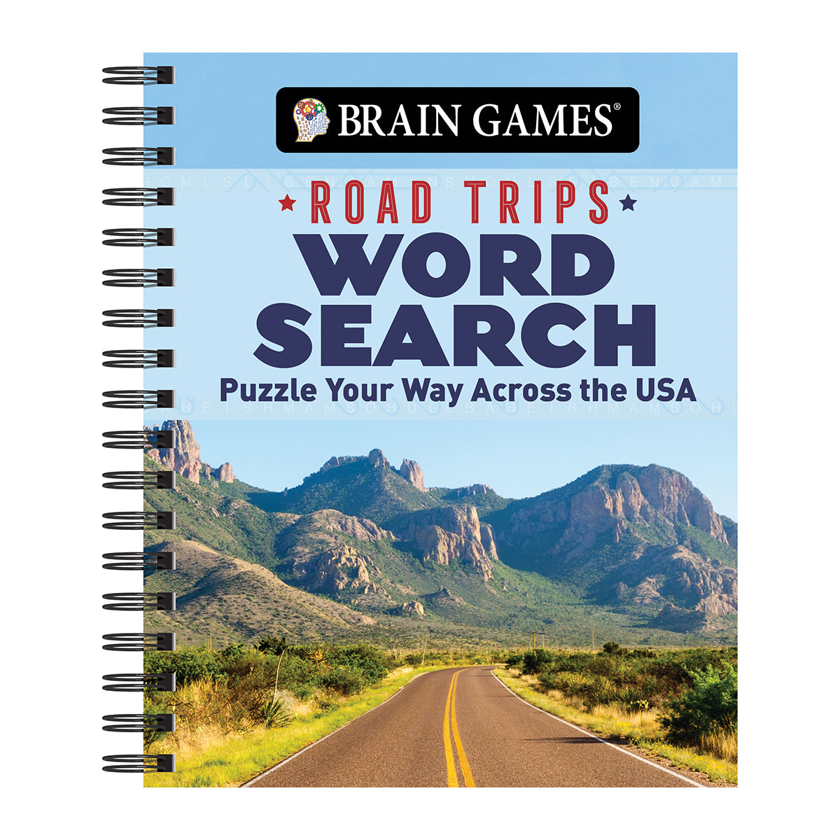 Brain Games - Road Trips Word Search