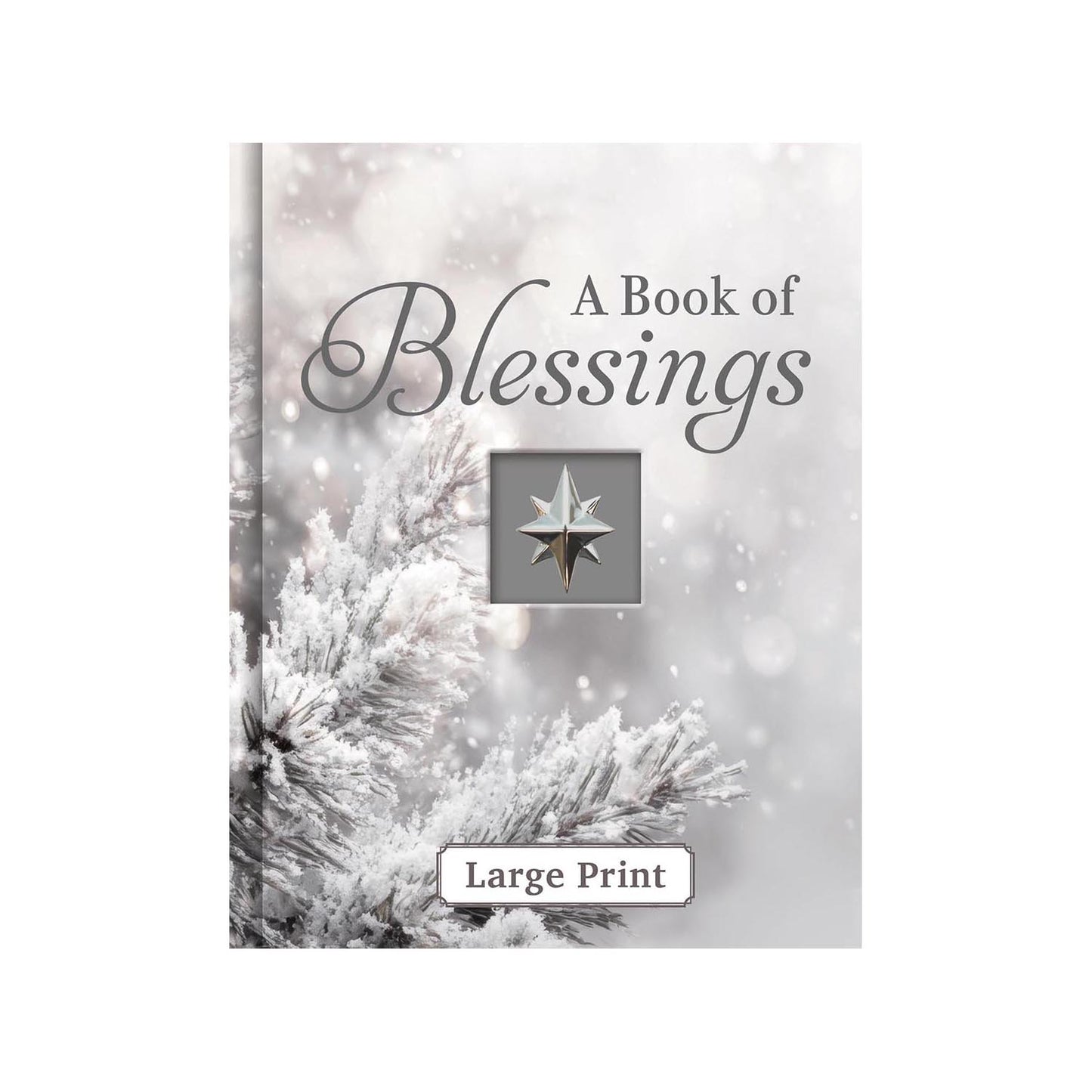 A Book of Blessings Large Print
